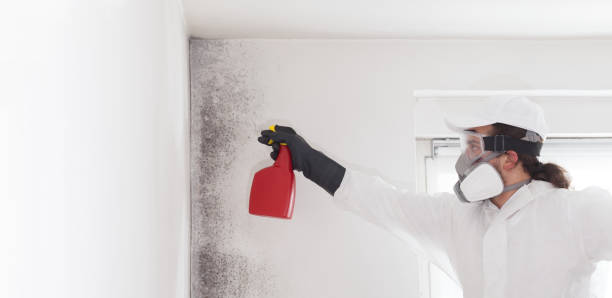 Best Mold Testing  in Wallis, TX