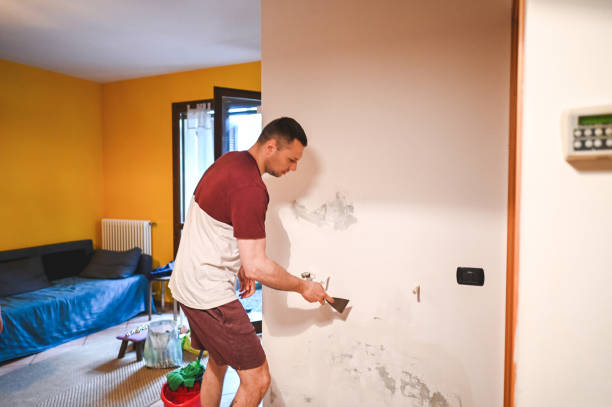 Best Mold Removal Company Near Me  in Wallis, TX